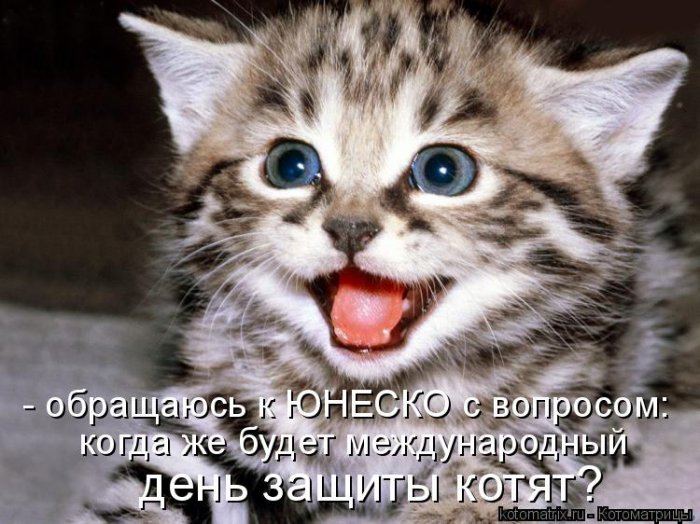   :)