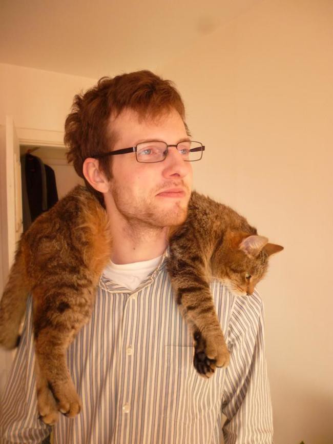 Готова отправиться куда угодно кот, лень, подборка