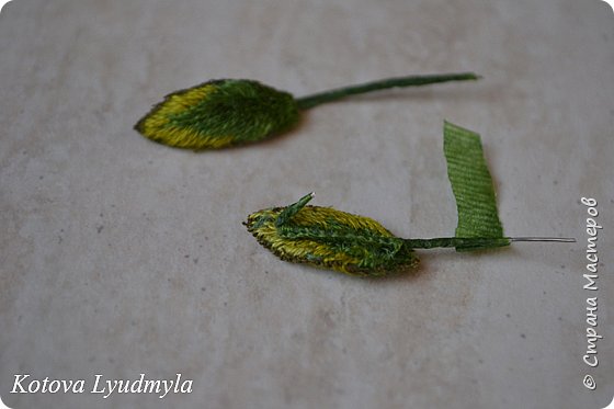 dsc_0685 (560x373, 28Kb)