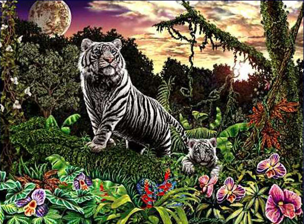 10 тигров Стивена Гарднера, загадки, картины