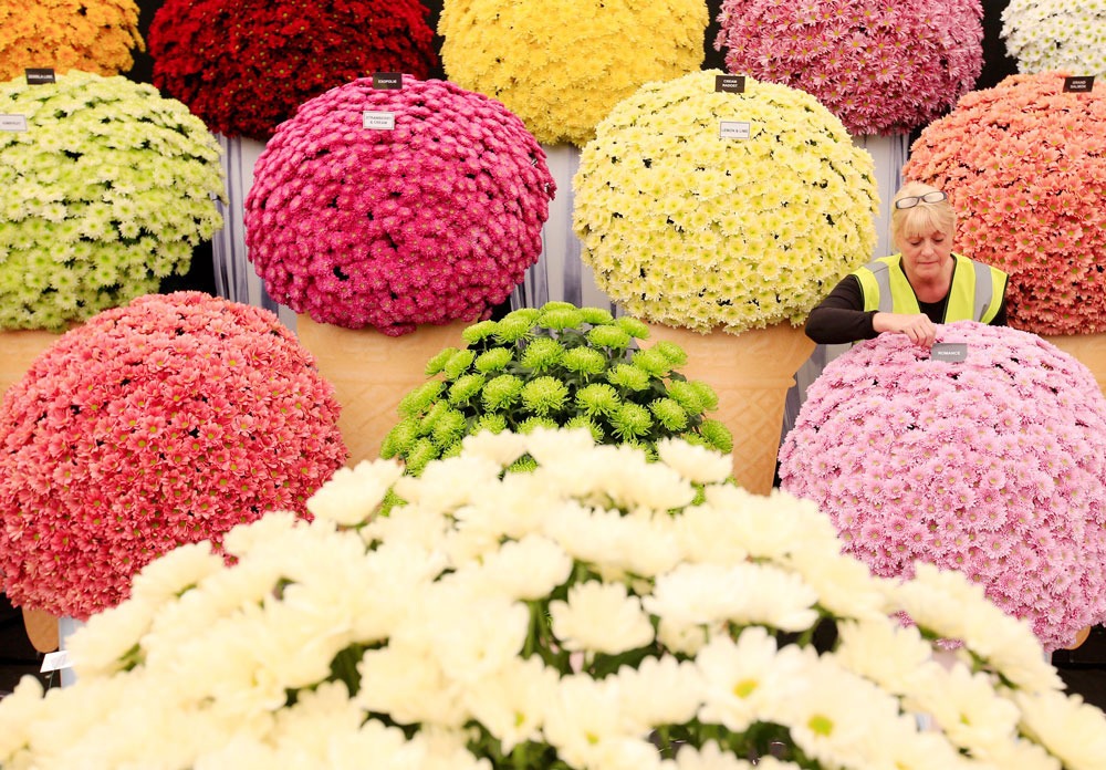 Впечатляющие фото с Chelsea Flower Show 2015