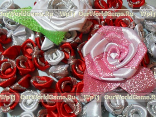 ������ ����� ���� �� �������� ���� 