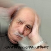      ::     