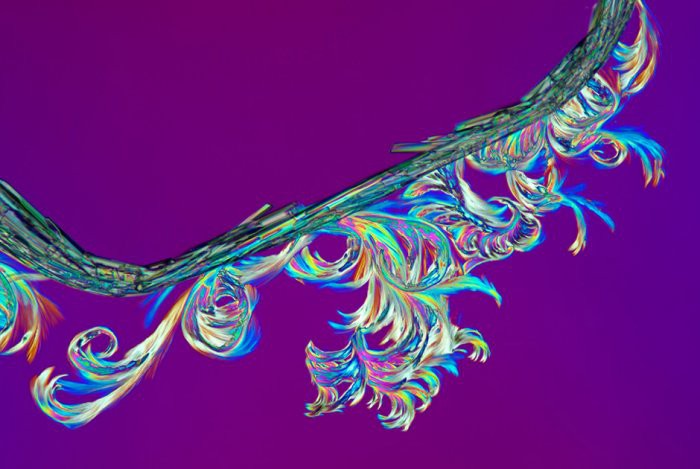 12. Салициловая кислота Линден Гледхилл, микроскоп, фото