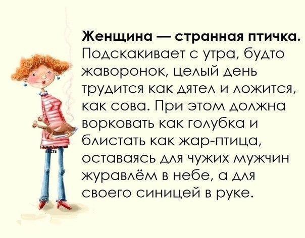 - Ты раньше была не такой... - Нууу так вышло обновление, следить же надо!