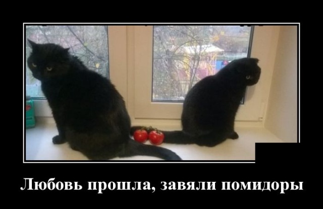 Демотиваторы смешные Демотиваторы смешные