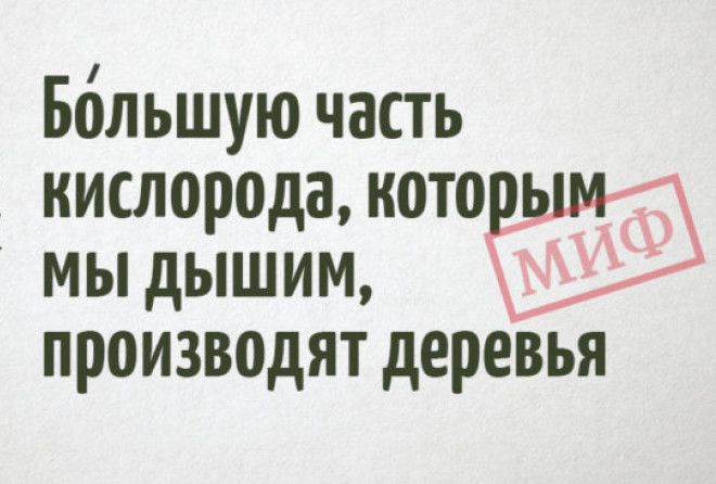 15 известнейших фактов, которые на самом деле являются заблуждениями