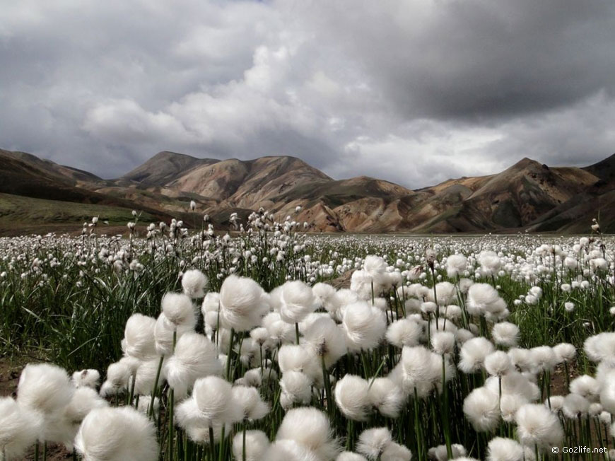 25 лучших фотографий National Geographic. Часть 2