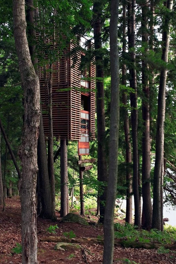 Экологические и комфортные дома на деревьях