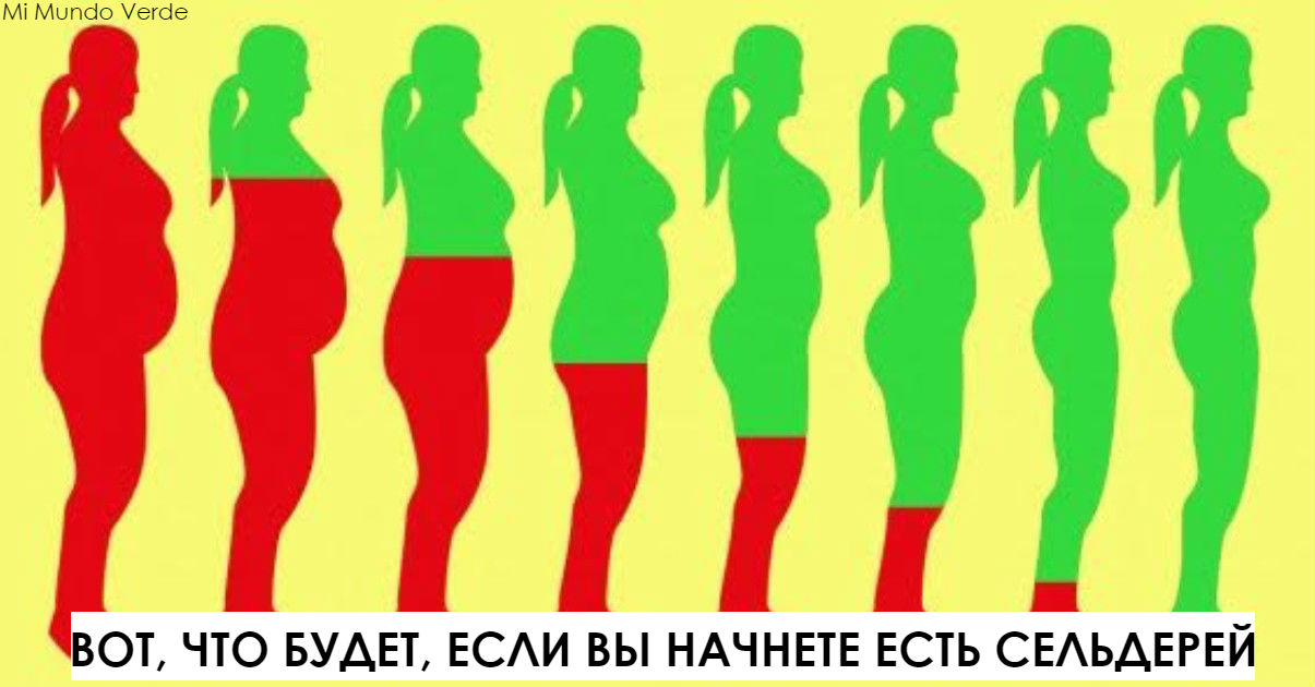 Вот что будет с вашим телом, если вы начнете есть сельдерей хотя бы неделю