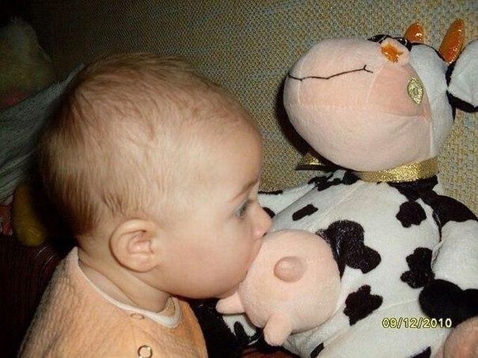 original.jpg#20670229011