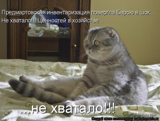 Котоматрица 18