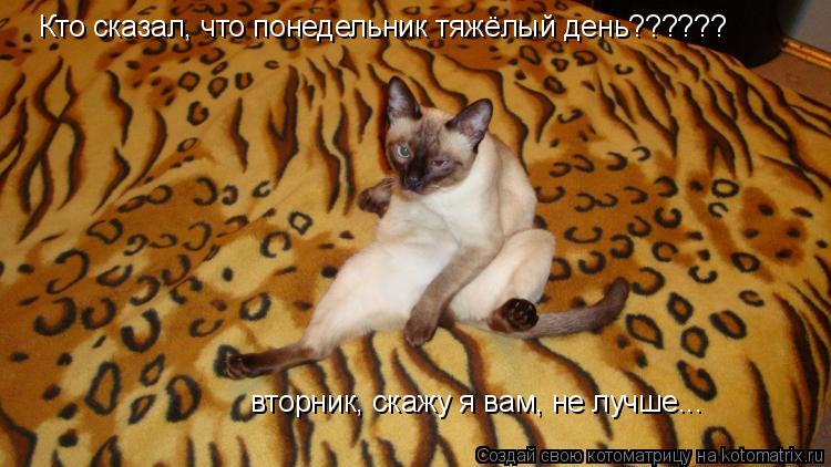 производители термобелья прикольные картинки со вторником термобелье изготовлено