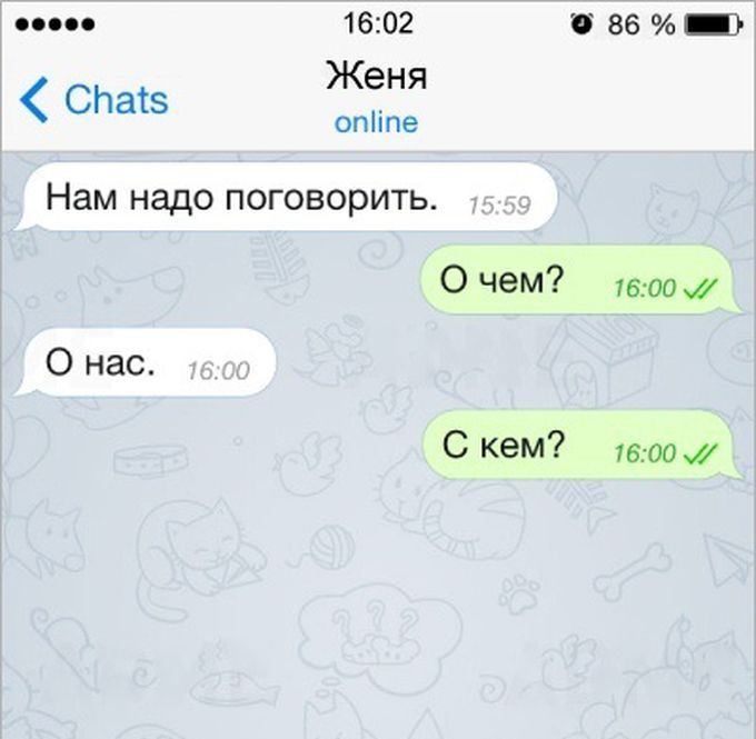 16  ,    , , 