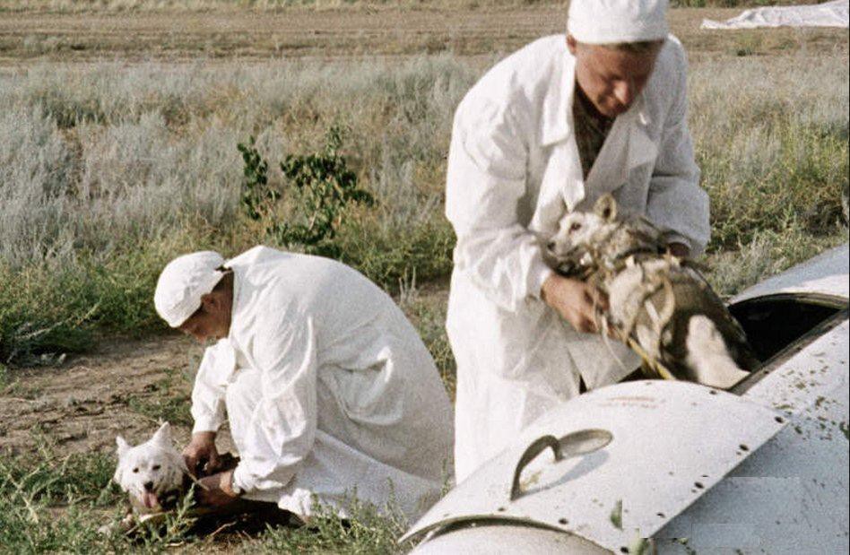 Исторические фото исторические, фото