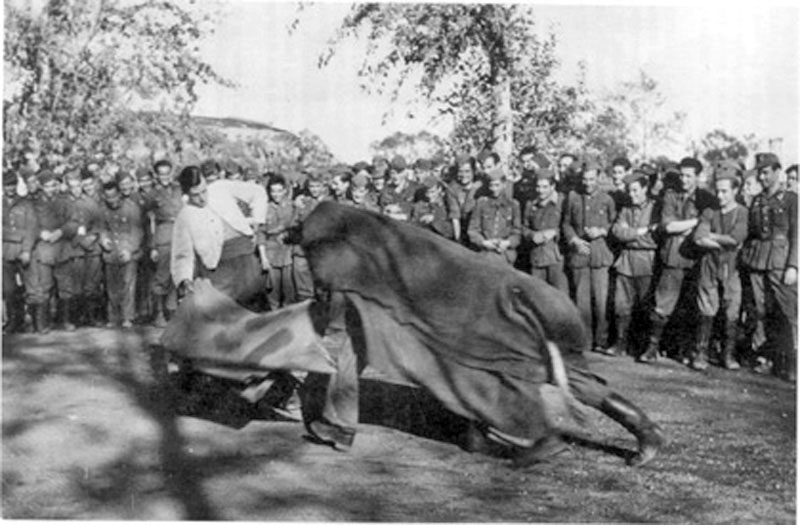 Испанцы на Восточном фронте в годы ВОВ Испанцы на Восточном фронте в годы ВОВ