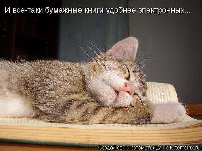 Лучшие котоматрицы недели (49 фото) Забавный котопост