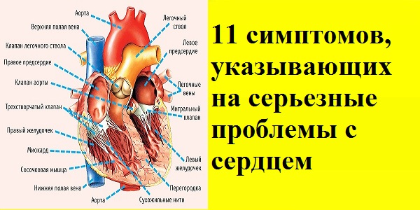 11 симптомов, указывающих на серьезные проблемы с сердцем