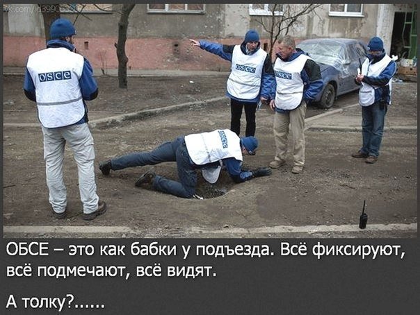 Картина маслом-5. Обзор за неделю)))+ 18! Картина маслом-5. Обзор за неделю)))+ 18!