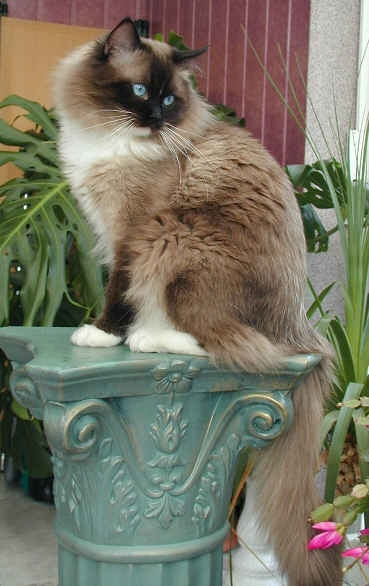 СЏ22 (369x586, 162Kb)