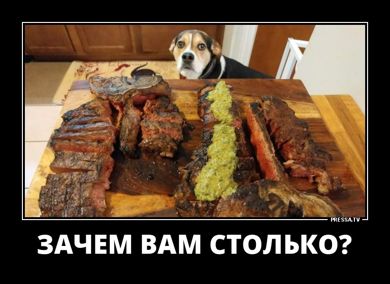 ДЕМОТИВАТОРЫ + ДЕМОТИВАТОРЫ +