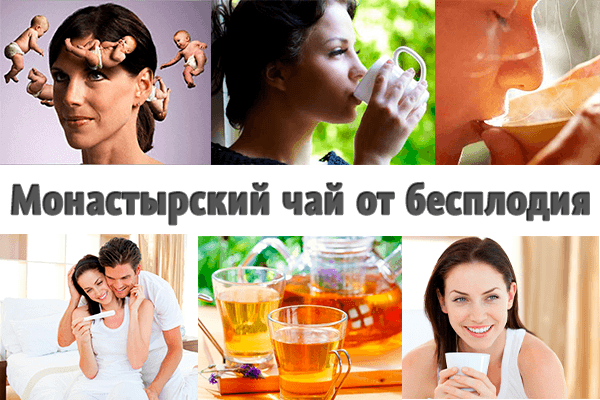 Какая трава лечит бесплодие Какая трава лечит бесплодие