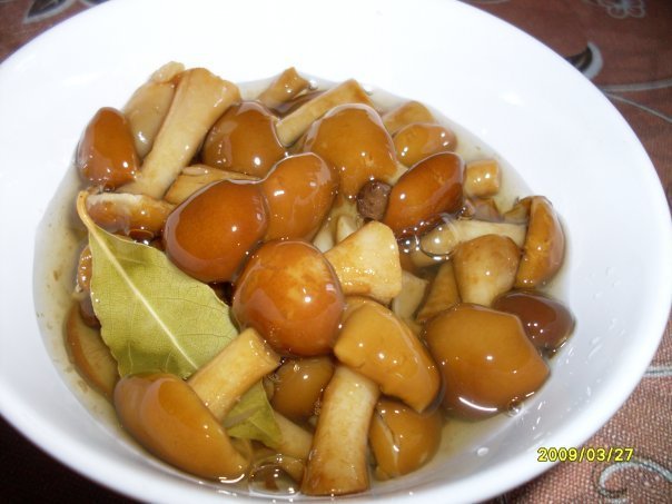 ����������� ������. ������