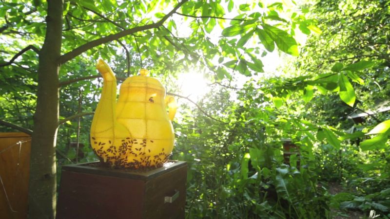 60 000 пчел вылепили миленький чайник. 9 ошеломляющих кадров
