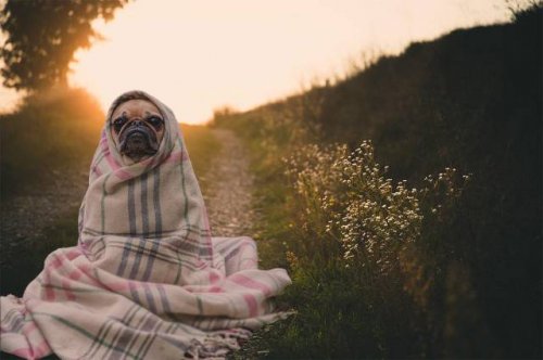 Вечерние фотоприколы в середине недели (83 шт)