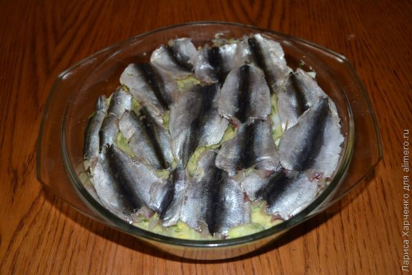 ������ �������