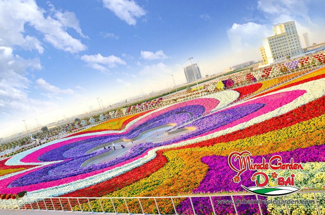 Фантастический  цветочный парк  Дубая Dubai Miracle Garden