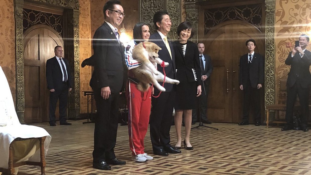 Японская делегация подарила Загитовой обещанного щенка акита-ину