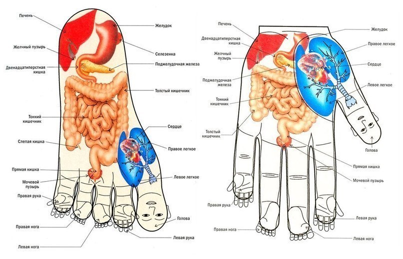 ������� ������ �� ��� ������ �����