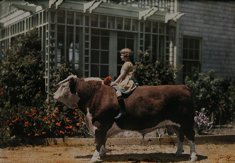 23.         . , 1926 national geographic, , , 