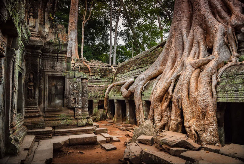 Ангкор, Камбоджа. интересное, природа, фото