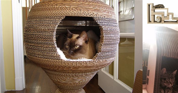 12 лучших самодельных штук из картона для ваших любимых котиков 12 лучших самодельных штук из картона для ваших любимых котиков для животных, животные, игрушки, коты, своими руками, сделай сам