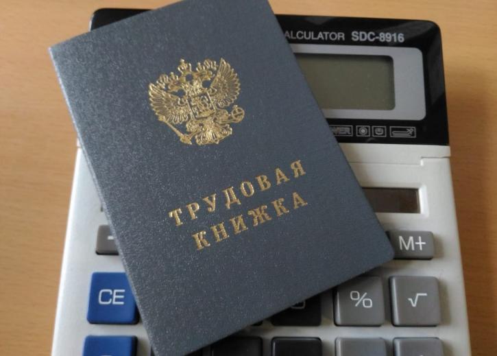 Трудовые книжки россиян стали оцифрованными Трудовые книжки россиян стали электронными раньше времени
