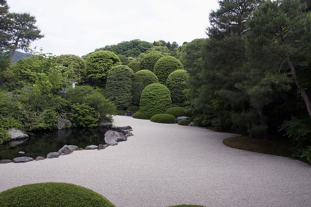 �������� ��� ��� ������ ������������ ������ �������