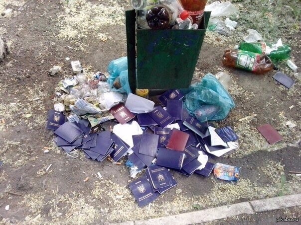 Да идите вы со своим референдумом в... ОБСЕ Да идите вы со своим референдумом в... ОБСЕ