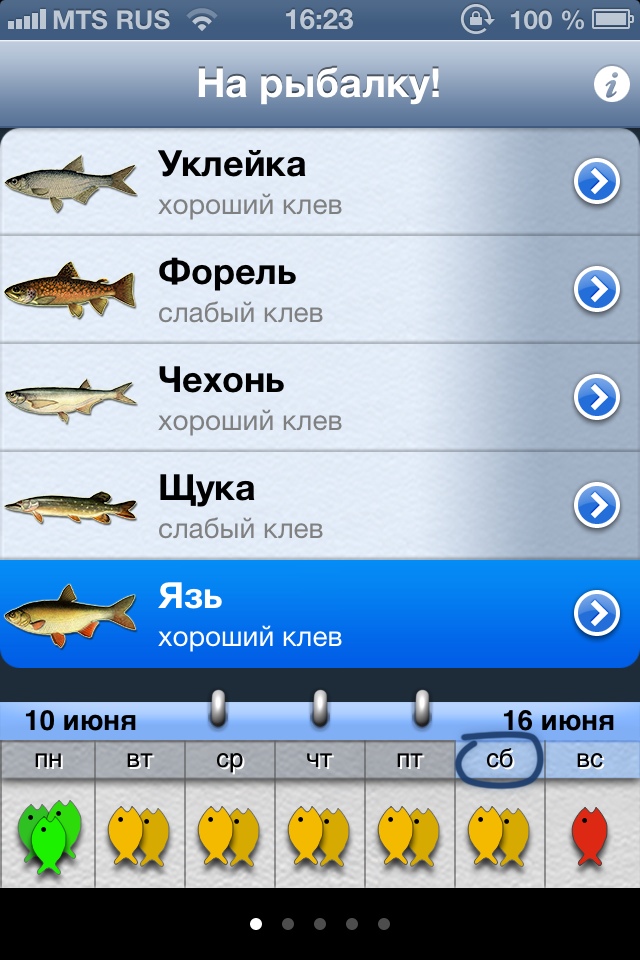 прогноз клева на сегодня в курске прогноз клева на сегодня в курске