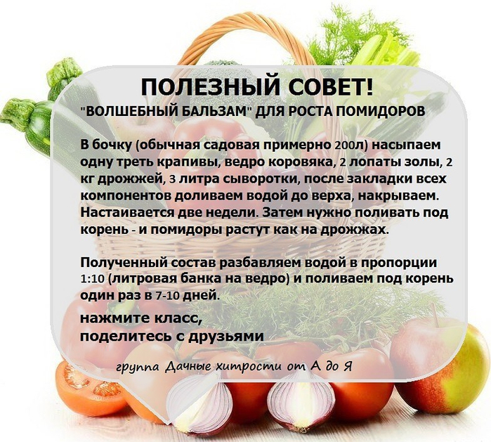 Полезные советы дачникам