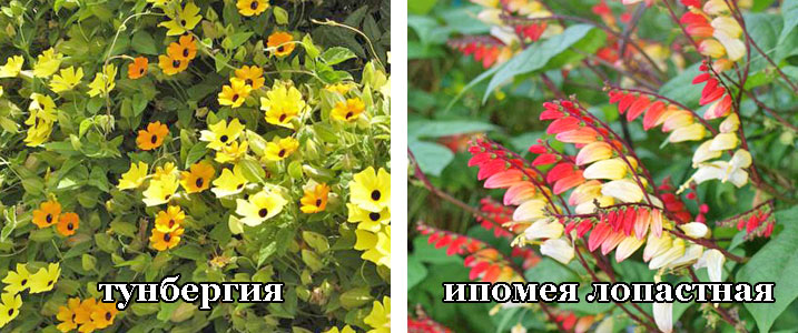 Блог сайта "всЁ длЯ дома".