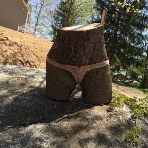 original.jpg#20789574965