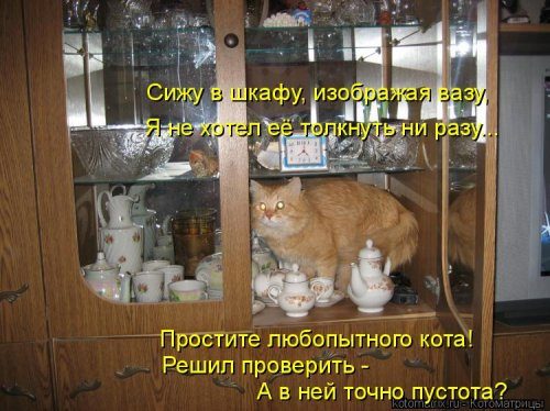 Котоматрицы, которые скрасят улыбкой ваш сегодняшний день!