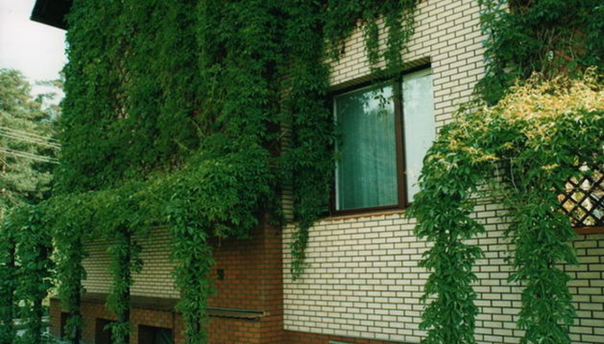 20   10     