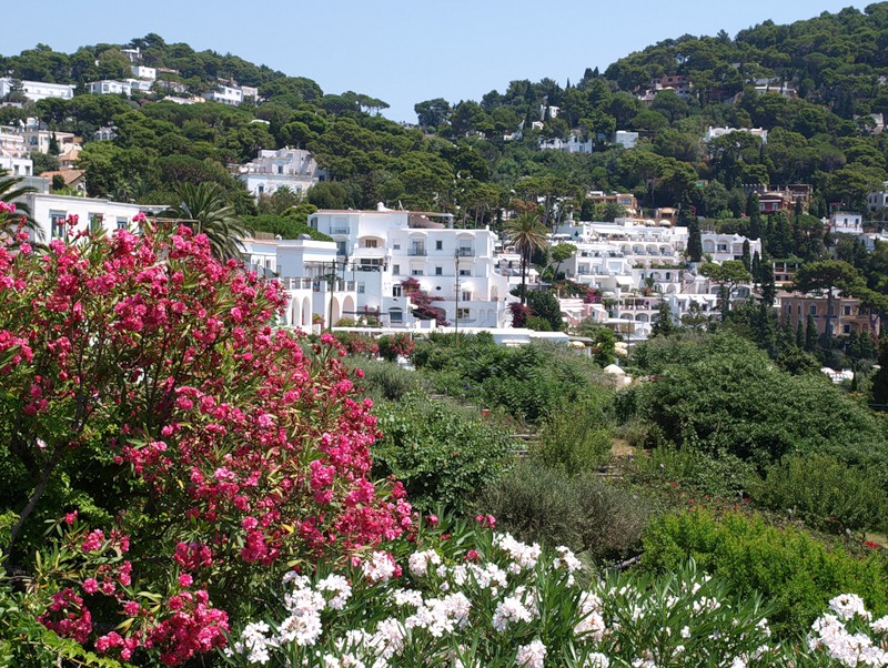 NewPix.ru - Живописный остров Капри,Италия