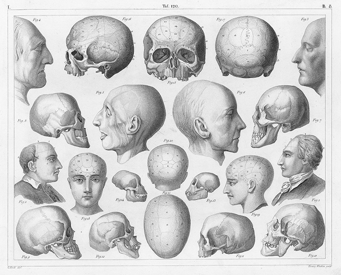 Старинные медицинские гравюры, книги и рисунки. Старинные медицинские гравюры, книги и рисунки.