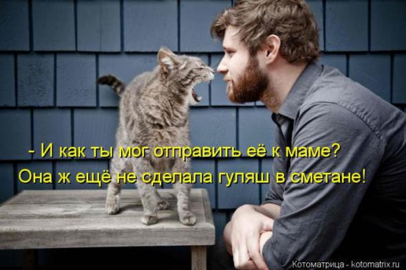 �����������(�������� � ���������)