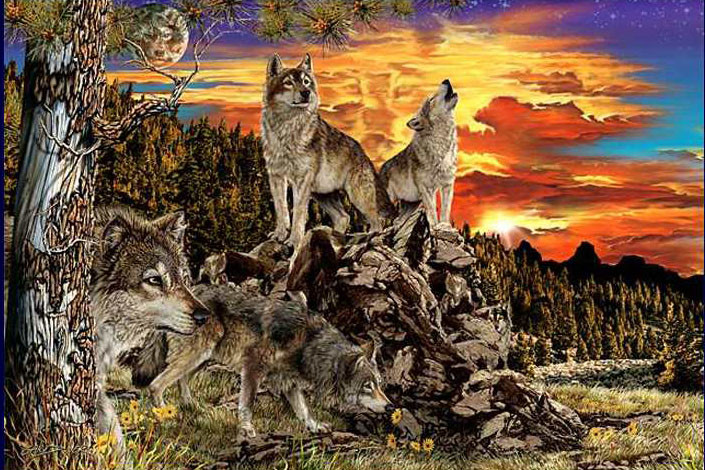 17 волков  Стивена Гарднера, загадки, картины
