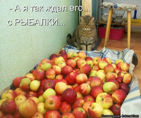   ... !